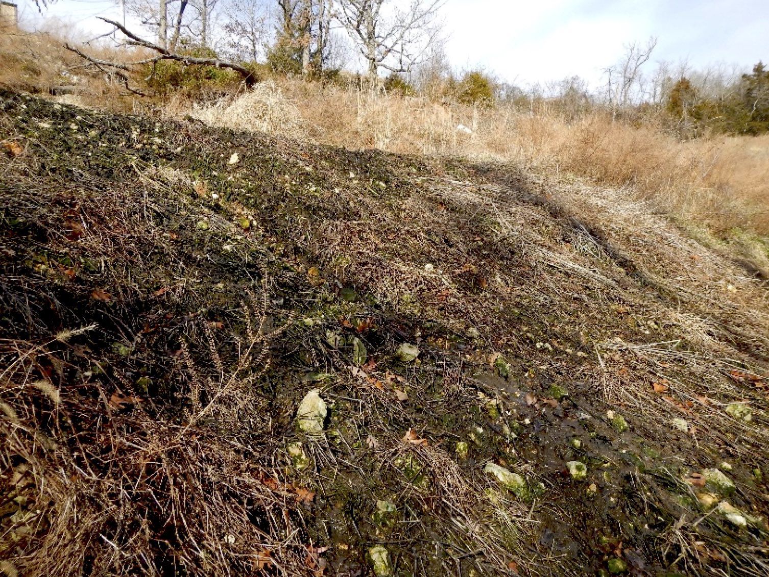 Hillside